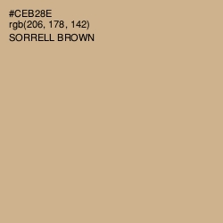 #CEB28E - Sorrell Brown Color Image